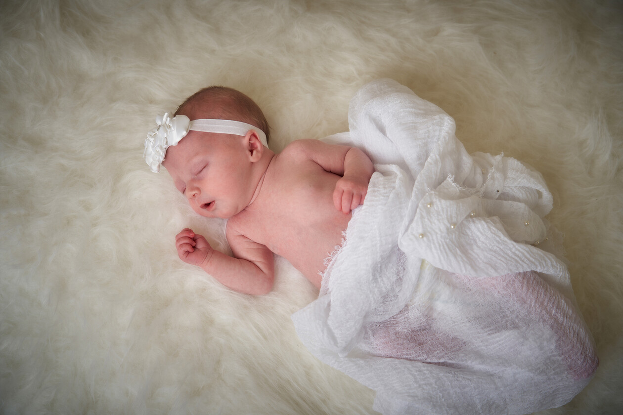 Portrait0023 
 Daisy 
 Keywords: Newborn Photography Session